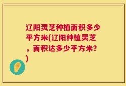 辽阳灵芝种植面积多少平方米(辽阳种植灵芝，面积达多少平方米？)