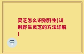 灵芝怎么识别野生(识别野生灵芝的方法详解)