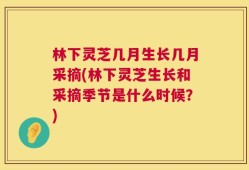 林下灵芝几月生长几月采摘(林下灵芝生长和采摘季节是什么时候？)
