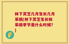 林下灵芝几月生长几月采摘(林下灵芝生长和采摘季节是什么时候？)