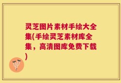 灵芝图片素材手绘大全集(手绘灵芝素材库全集，高清图库免费下载)