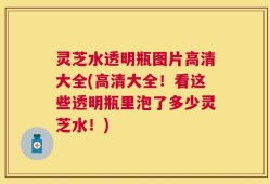 灵芝水透明瓶图片高清大全(高清大全！看这些透明瓶里泡了多少灵芝水！)