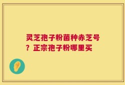 灵芝孢子粉菌种赤芝号？正宗孢子粉哪里买