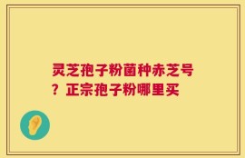 灵芝孢子粉菌种赤芝号？正宗孢子粉哪里买