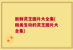 新鲜灵芝图片大全集(精美生动的灵芝图片大合集)