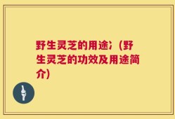 野生灵芝的用途冫(野生灵芝的功效及用途简介)