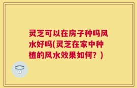 灵芝可以在房子种吗风水好吗(灵芝在家中种植的风水效果如何？)