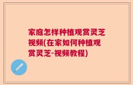 家庭怎样种植观赏灵芝视频(在家如何种植观赏灵芝-视频教程)