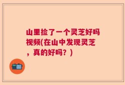 山里捡了一个灵芝好吗视频(在山中发现灵芝，真的好吗？)