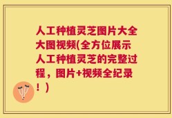 人工种植灵芝图片大全大图视频(全方位展示人工种植灵芝的完整过程，图片+视频全纪录！)