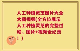 人工种植灵芝图片大全大图视频(全方位展示人工种植灵芝的完整过程，图片+视频全纪录！)