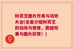 树灵芝图片作用与功效大全(全面介绍树灵芝的功效与使用，震撼效果与图片欣赏！)
