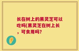 长在树上的黑灵芝可以吃吗(黑灵芝在树上长，可食用吗？