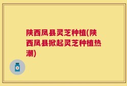 陕西凤县灵芝种植(陕西凤县掀起灵芝种植热潮)
