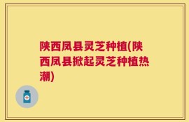 陕西凤县灵芝种植(陕西凤县掀起灵芝种植热潮)