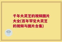 千年大灵芝的视频图片大全(百年罕见大灵芝的视频与图片合集)
