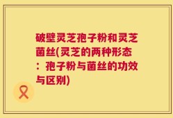 破壁灵芝孢子粉和灵芝菌丝(灵芝的两种形态：孢子粉与菌丝的功效与区别)