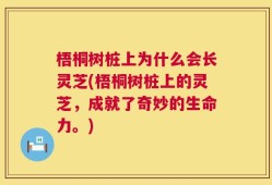 梧桐树桩上为什么会长灵芝(梧桐树桩上的灵芝，成就了奇妙的生命力。)