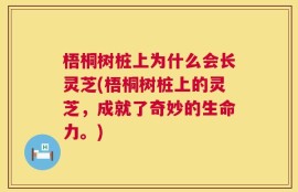 梧桐树桩上为什么会长灵芝(梧桐树桩上的灵芝，成就了奇妙的生命力。)