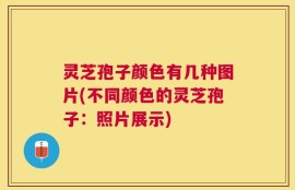 灵芝孢子颜色有几种图片(不同颜色的灵芝孢子：照片展示)