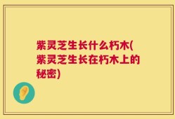 紫灵芝生长什么朽木(紫灵芝生长在朽木上的秘密)