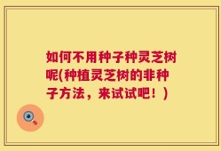 如何不用种子种灵芝树呢(种植灵芝树的非种子方法，来试试吧！)
