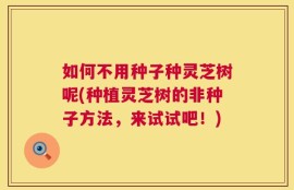 如何不用种子种灵芝树呢(种植灵芝树的非种子方法，来试试吧！)