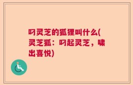 叼灵芝的狐狸叫什么(灵芝狐：叼起灵芝，啸出喜悦)
