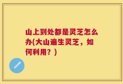 山上到处都是灵芝怎么办(大山遍生灵芝，如何利用？)