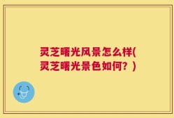 灵芝曙光风景怎么样(灵芝曙光景色如何？)