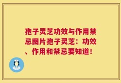 孢子灵芝功效与作用禁忌图片孢子灵芝：功效、作用和禁忌要知道！