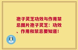 孢子灵芝功效与作用禁忌图片孢子灵芝：功效、作用和禁忌要知道！