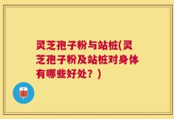 灵芝孢子粉与站桩(灵芝孢子粉及站桩对身体有哪些好处？)