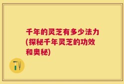 千年的灵芝有多少法力(探秘千年灵芝的功效和奥秘)
