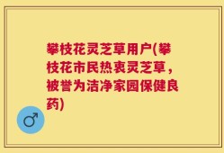 攀枝花灵芝草用户(攀枝花市民热衷灵芝草，被誉为洁净家园保健良药)
