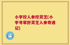 小宇挖人参挖灵芝(小宇寻草野灵芝人参奇遇记)