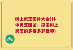 树上灵芝图片大全(林中灵芝图鉴：探索树上灵芝的多姿多彩世界)