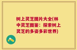 树上灵芝图片大全(林中灵芝图鉴：探索树上灵芝的多姿多彩世界)