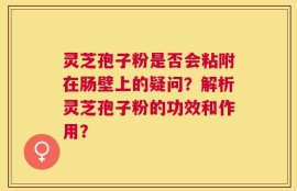 灵芝孢子粉是否会粘附在肠壁上的疑问？解析灵芝孢子粉的功效和作用？