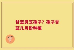 甘蓝灵芝孢子？孢子甘蓝几月份种植