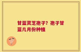 甘蓝灵芝孢子？孢子甘蓝几月份种植
