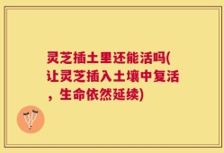 灵芝插土里还能活吗(让灵芝插入土壤中复活，生命依然延续)