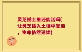 灵芝插土里还能活吗(让灵芝插入土壤中复活，生命依然延续)
