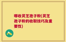 哪收灵芝孢子粉(灵芝孢子粉的收取技巧及重要性)