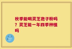 秋季能喝灵芝孢子粉吗？灵芝能一年四季种植吗