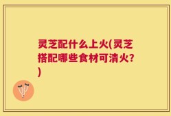 灵芝配什么上火(灵芝搭配哪些食材可清火？)