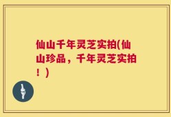 仙山千年灵芝实拍(仙山珍品，千年灵芝实拍！)