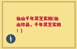 仙山千年灵芝实拍(仙山珍品，千年灵芝实拍！)