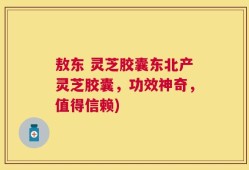 敖东 灵芝胶囊东北产灵芝胶囊，功效神奇，值得信赖)