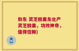 敖东 灵芝胶囊东北产灵芝胶囊，功效神奇，值得信赖)